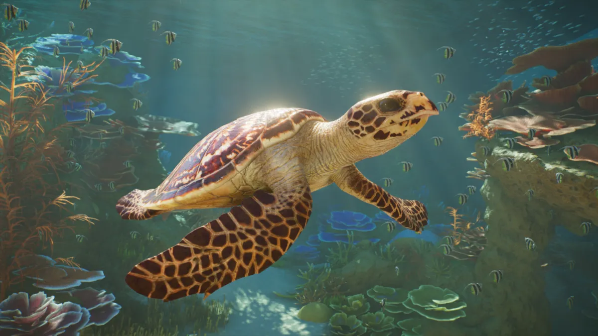 Planet Zoo 2 Accreditation Guide: How the Star Rating Works